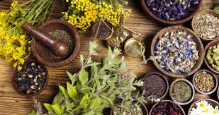 botanicals and herbs