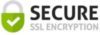 SECURE SSL budge